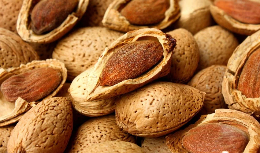 Organic Sicilian Shelled Almonds