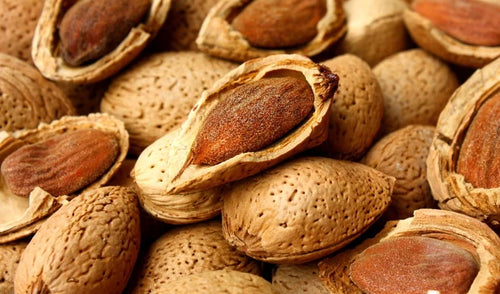 Organic Sicilian Shelled Almonds